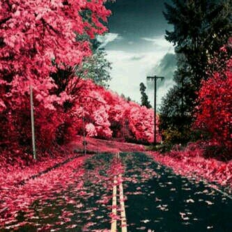 toma2013312's profile picture. 