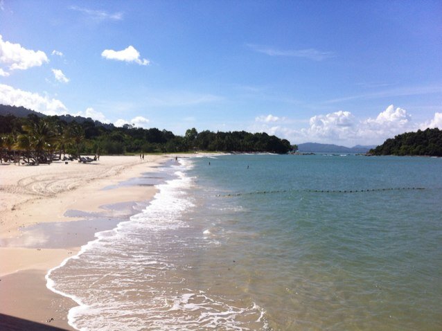 bullie99's profile picture. 