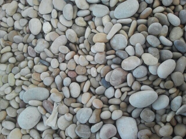 Pasen y vean...