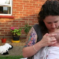 helen (@choink) 's Twitter Profile