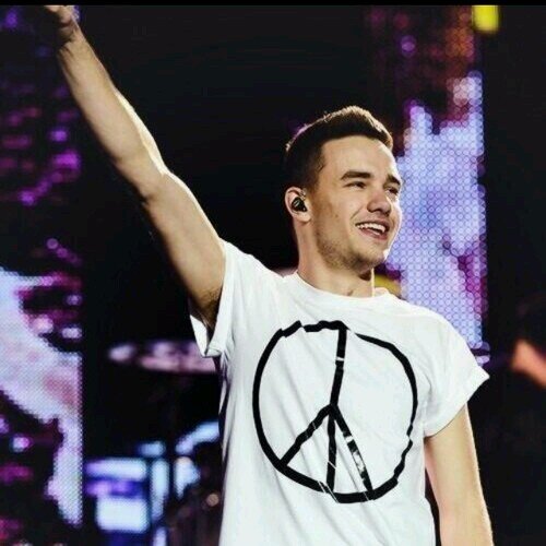 i'so swifty ,beliebers , selenator,mixer and lovatic but i am MORE DIRECTIONERFOREVER!!