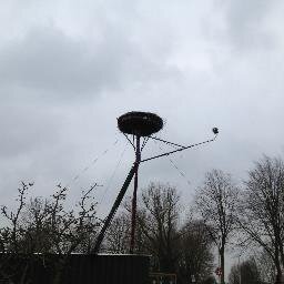 jasy69654843's profile picture. rhoon# .brommers auto,s  vogels#