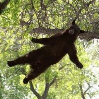 Alec Wilsøn (@aaalec) 's Twitter Profile