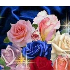‏لااخشي الا الله في الحق   اجامل في حدالمعقول