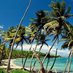 65 acres, 8 rooms, and 1 beach to yourself.