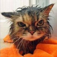 ο γιός (@taksebew) 's Twitter Profile