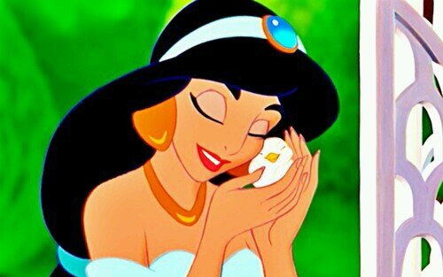 I am princess Jasmine, My father forces me to marry when I only will marry for love.