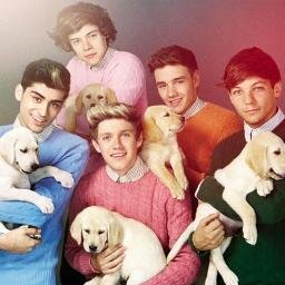 extraordinHARRY,amaZAYN,phenomeNIALL,fabuLOUIS,brilLIAM