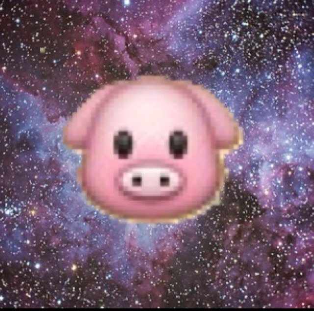 Just piggy things. Buisness email: orangequestions@gmail.com