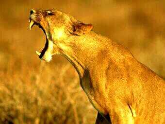 BrahimGomezOula's profile picture. Nostalgia soviética.