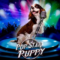 Pop Star Puppy(@PuppyPopstar) 's Twitter Profile Photo