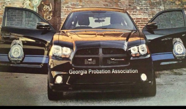 GPA_GA's profile picture. YOUR professional organization.