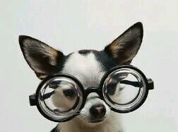 Sabelotodo_1's profile picture. I know everything. Believe in me. ¡Follow back!