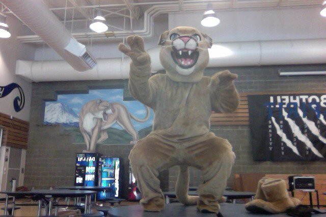 Homepage of the Bothell Cougar, twitter profile for updates on all things Bothell High School related, sports or otherwise