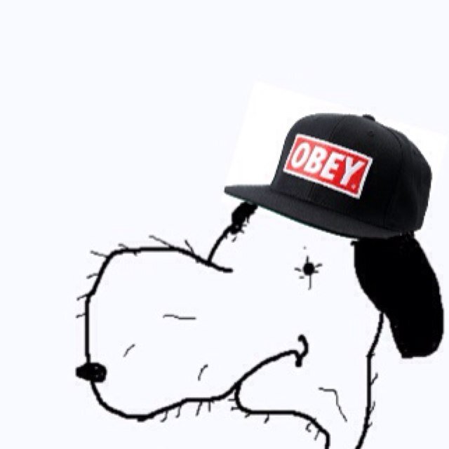 Im snuupi nd i liek 2 fuk bichis in mi doghaus *original snoopy account*