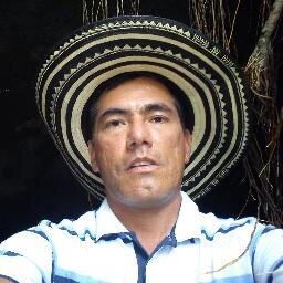 Ingeniero Civil. INVIAS TOLIMA