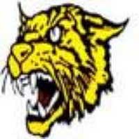 Diamond Wildcat SB (@softball_dhs) 's Twitter Profile