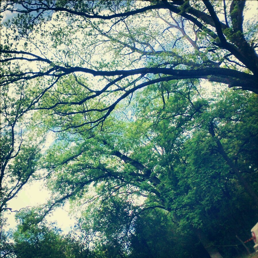 chiito92's profile picture. 