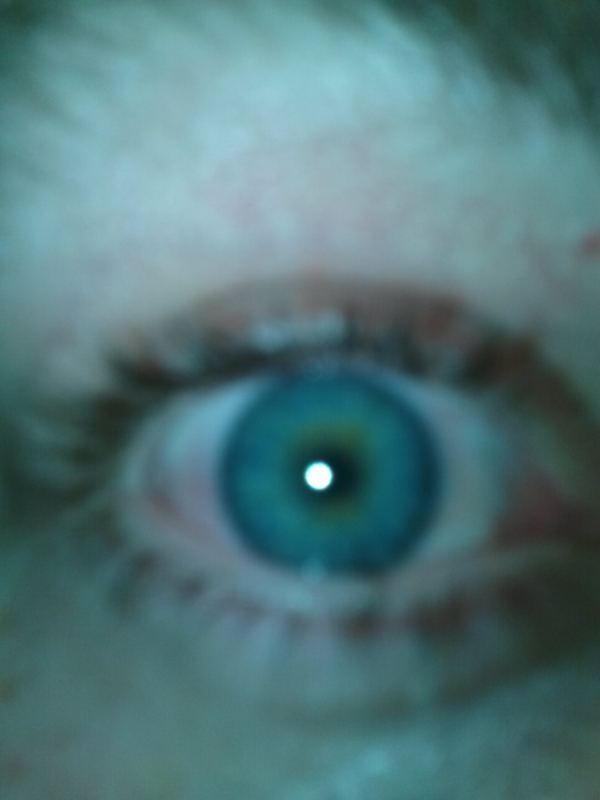 budilia_greene's profile picture. high as fuck