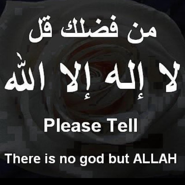 من تواضع لله رفعه