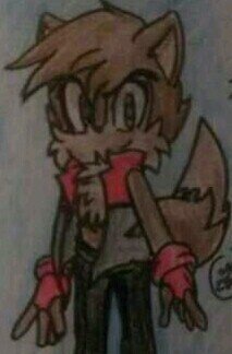 Hey there! I'm a quiet little fox who spends my time reading books. I would love to meet you!..... If I wasn't so awkward. Hehe....(#MobianWriter, RP, Single)