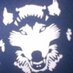 Lakehead Ultimate (@twolvesultimate) Twitter profile photo