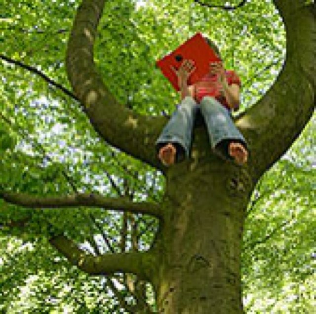 Educator, Traveller, Reader...to name a few:-) One's destination is never a place, but a new way of seeing things 'Henry Miller' @tlaarmstrong.bsky.social