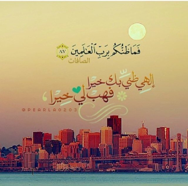 ‏وما مِن كــاتبٍ إلا سيفنى .. ويُبقى الدهر ما كتبت يداهُ ،، فلا تكتب بكفك غير شىء .. يسرك في القيامةِ ان تراهُ ،،