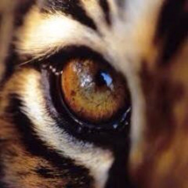 nmrjtj5887's profile picture. Follow me and you'll find out... ;)