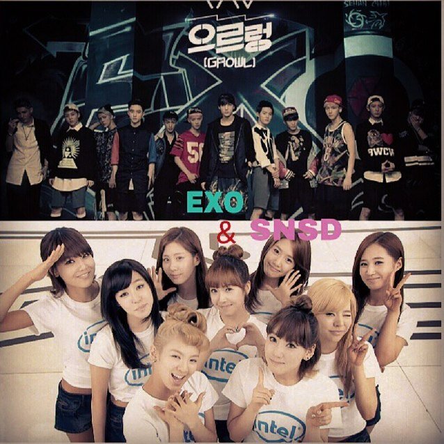 rawan_ali353's profile picture. 