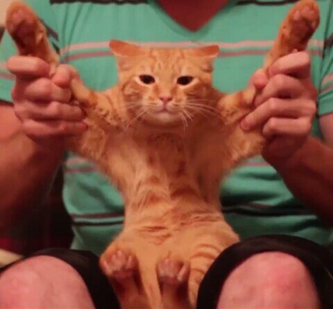 dubstepcatx's profile picture. who wants to dance??