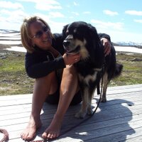 Grethe I. G. Alnæs (@honning73) 's Twitter Profile