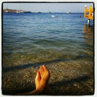 GEZİGEN (@direnitoergosum) 's Twitter Profile