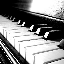 Interest in music education, disruptive digital environments, collaborative assessment, tennis.