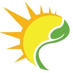 DSEadvies's profile picture. Adviesbureau - Duurzame Energie - Annen - focus op: Zonne-energie - Bio-massa - Mestverbranding- Duurzaam en rendabel - Advies en begeleiding