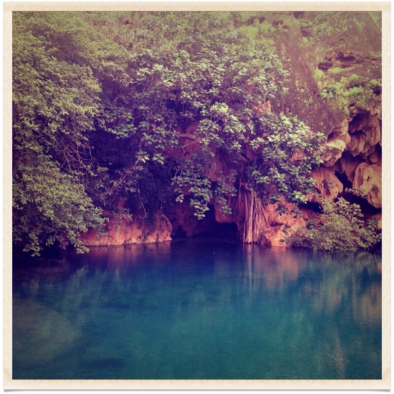 HHamed1970's profile picture. 