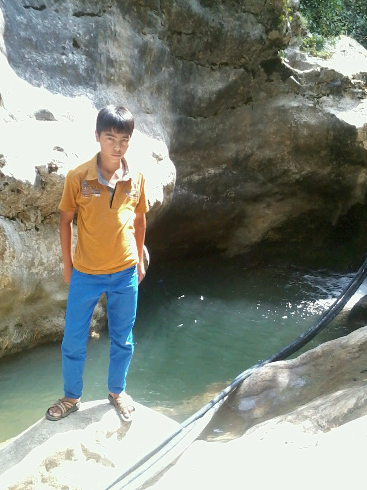 shellpower33's profile picture. 