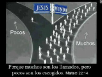 Amor y Paz