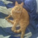 Gary Poland - @GaryPoland1 - Twitter