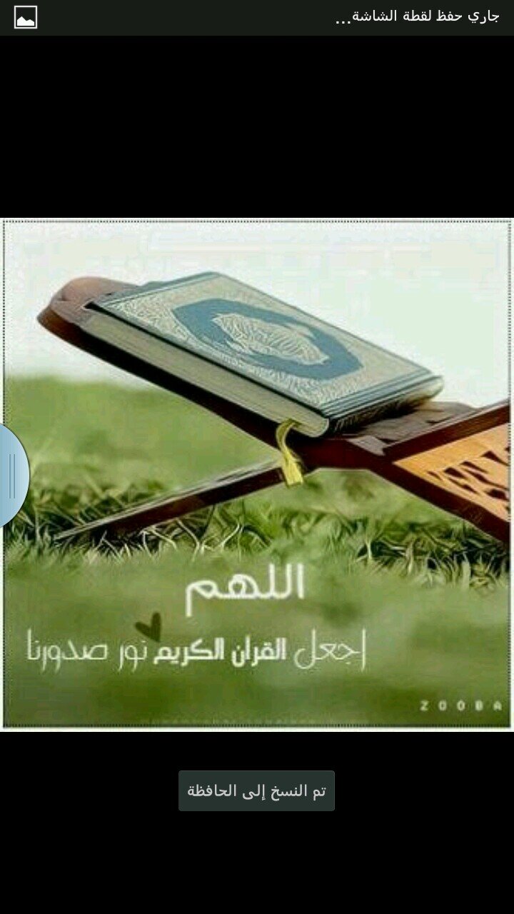 ffmgaq's profile picture. 