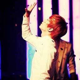 since  13 / 08 / 29