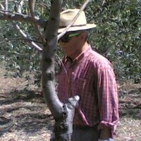 OttO (@ottomosaici) 's Twitter Profile