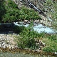 Filiz (@23_oma) Twitter profile photo