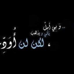مجال الأتصالات والإستيراد والتصدير