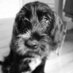 Opeter (@jemstach) Twitter profile photo Opeter (@jemstach) Twitter profile photo