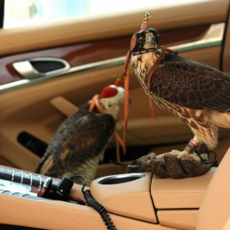 ﺗدري ﯙش וﻟﻟۑ̵ ﯾذﺑح וﻟروح ﯾו ﮪﯾﮪہٌ ﻟו ﺻرٺ ﻣﺳﻟم ﺑس ﺣظكـﮐ ﯾﮪﯙدۑ̵