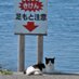 例のヤツ (@xyzdtag2040) Twitter profile photo 例のヤツ (@xyzdtag2040) Twitter profile photo
