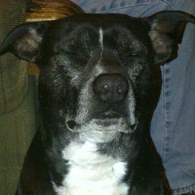 _CREEPYH0LL0W_'s profile picture. I haunt, therefore I am.