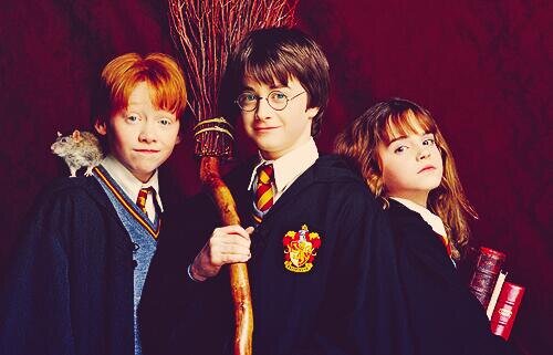 All About Potterheads, ATTENTION: NOT FOR MUGGLES!