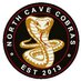 North Cave Cobras FC (@northcavecobras) Twitter profile photo
